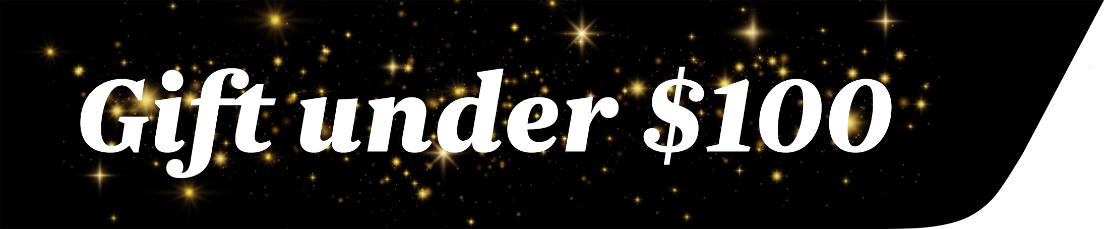 Xmas gift under $100 