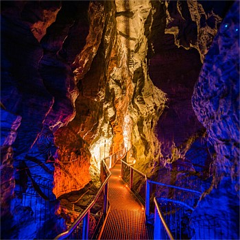 Ruakuri Cave - Single Adult Entry