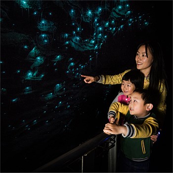 Ruakuri Cave - Family Entry