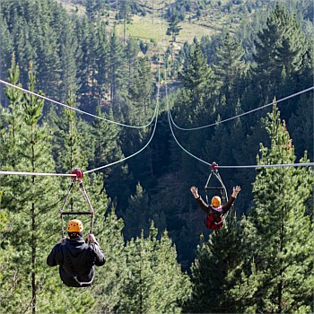 The Long Ride - Single Zipline Tour 1.5 hr