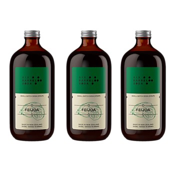 Feijoa Soda Syrups