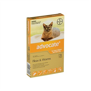 Flea & Worm Treatment for Cats