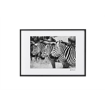 Zephyr of Zebra Print Wall Art