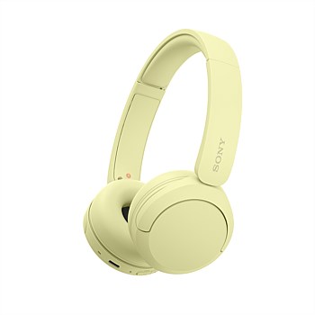 WH-CH520 Wireless Headphones