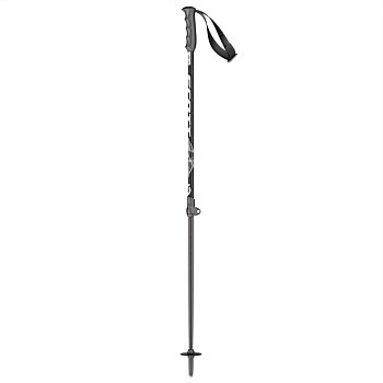 Ski Pole Firstguide Jr