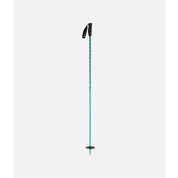 Meta Ski Poles