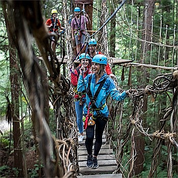 The ultimate Redwoods experience – Altitude, Fast Pass entry to Nightlights & daytime Treewalk!