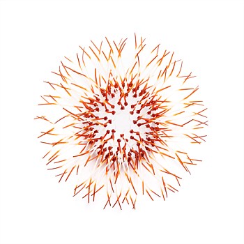 Kina - Burnt Orange