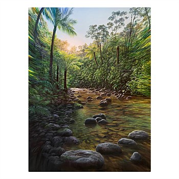 Driving Creek Valley