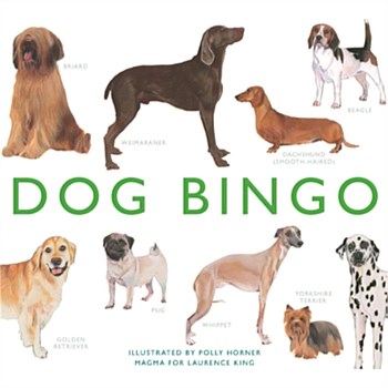 Bingo Dog