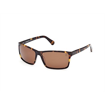 Timberland Sunglass TBTB00032