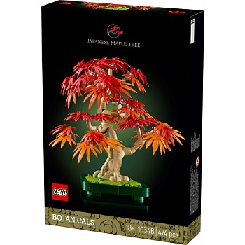 10348 BOTANICALS Japanese Red Maple Bonsai Tree