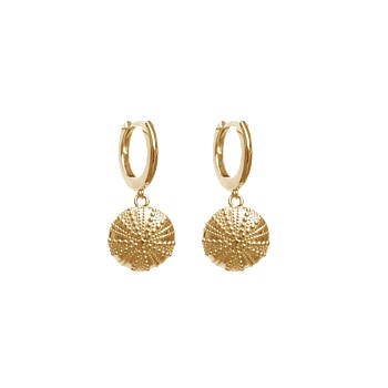 Kina Huggies Gold Plate