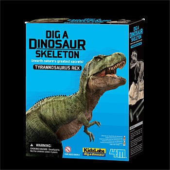 Dig A T Rex Skeleton