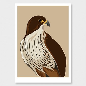 Falcon Print
