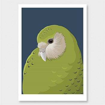 Kakapo baby Print