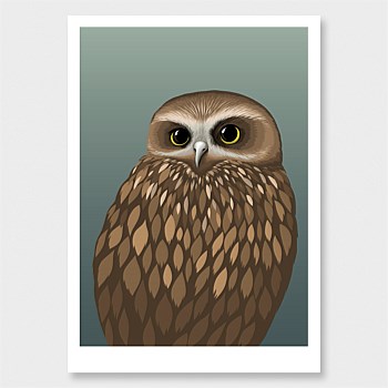 Morepork Print
