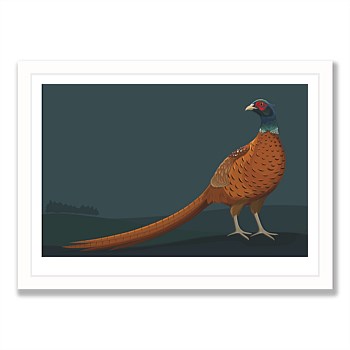Limited Edition Print - Pheasant