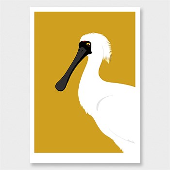 Spoonbill Print